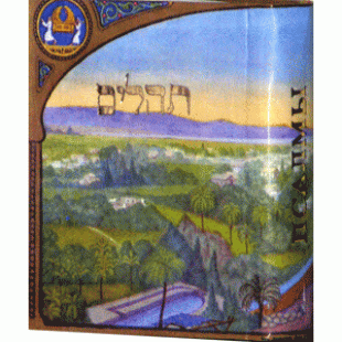 Карманная книга Псалмов (Теилим) с русским переводом