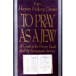 To pray as a jew: a guide to the prayer book and the synagogue service (Hayim Halevy Donin)