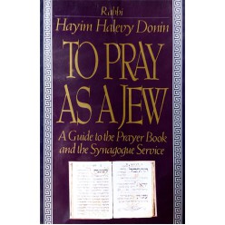 To pray as a jew: a guide to the prayer book and the synagogue service (Hayim Halevy Donin)