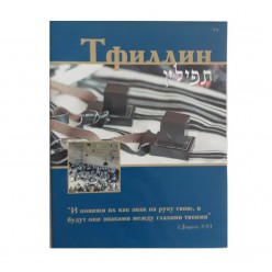 Тфиллин