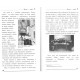 Чистое оливковое масло (Исраэль и Лея Левин)
