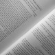 Иосиф и Давид в Торе и еврейских праздниках (иврит)