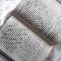 Сидур (Молитвенник )  с тегилим. Иврит